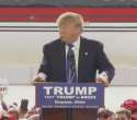 pussy trump rally.gif