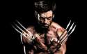 wolverine.jpg