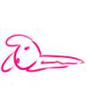 pinis.png