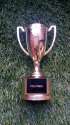 You-Tried-Trophy.jpg