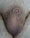 belly button.jpg