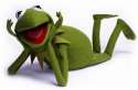 tumblr_static_kermit-the-frog.jpg