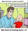 duck.jpg