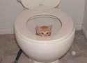 Don__t_Flush.jpg