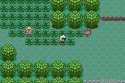 Pokemon - Emerald Version (USA, Europe).ss0.png