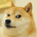 doge_meme (36).jpg
