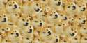 DOGE-614x307.jpg