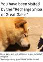 recharge_shiba.jpg