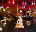 stripper Daisy.gif