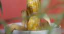 dick is corn cobs.jpg