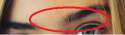 wtf.png