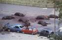 Seven horses of the Queen's Household Cavalry lie dead or dying after the IRA detonated a nail bomb, 1982.jpg