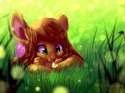 14_1387294632.unicornblue_2_the_butterfly_stare_by_unicornblue_2013.jpg