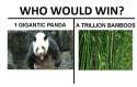 Bampanda.jpg