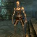 Draugr.png