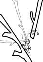 ss (2016-04-03 at 12.43.30).png