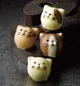 goncharoff chocolate cats.jpg