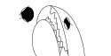 nool.png