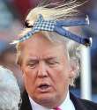 Trump.jpg