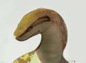 1421568881.whitemantis_ame2.jpg