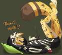 tumblr_n85jh035Wi1r903uto2_540.png