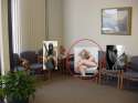 1459756016987.jpg