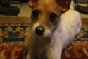 IMG14552353618.jpg