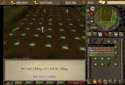 zxx.png