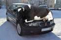 cow.jpg