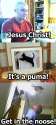 thisisrealpuma.jpg