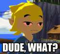 dude-what.jpg
