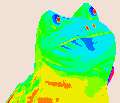 1448319062393.gif