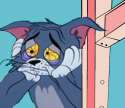 that fucking sad cat.jpg