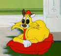 claude cat.jpg