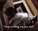 1411220014793.gif