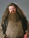 hagrid.png