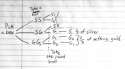 tree diagram.jpg