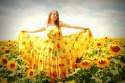 yellow21.jpg