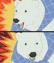 bearcheck.jpg