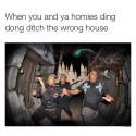 dingdongwhoops.jpg