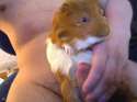 DSC0003.jpg