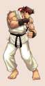 SSF2HDRRyu.gif