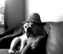 doggo hatimus (262).jpg
