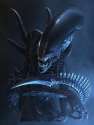 xeno1288524772239.jpg