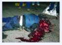 171861d1274725754-head-smashed-bullets-awesome-wow1.jpg