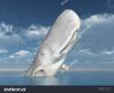 stock-photo-white-whale-computer-generated-d-illustration-143501419.jpg