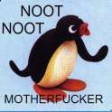 noot noot.jpg