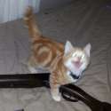 MEEEEEEEEEEEEEEEEEEEEEEEEEEEEEEEEEEEEEEEEEEEOW.jpg