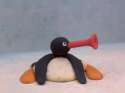 Noot_Noot.jpg