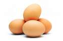 egg-02.jpg